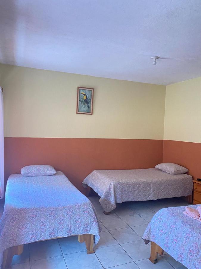 Hotel La Puesta Del Sol B&B Monteverde Exteriör bild